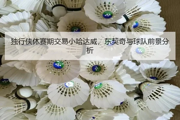 独行侠休赛期交易小哈达威，东契奇与球队前景分析